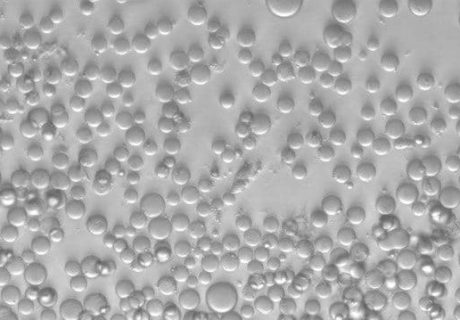 microbeads-1-e1500908229990