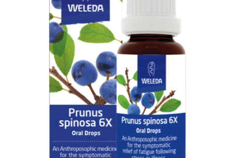 Prunus 6X Drops