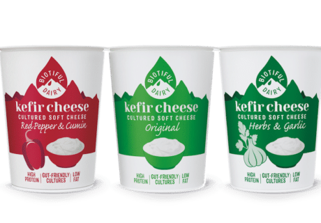 Kefir Cheese