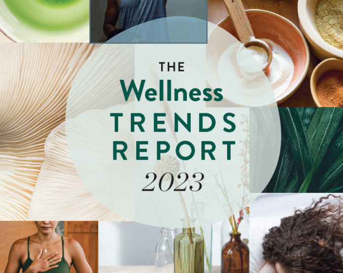 News - H&B Releases 2023 Trend Forecast