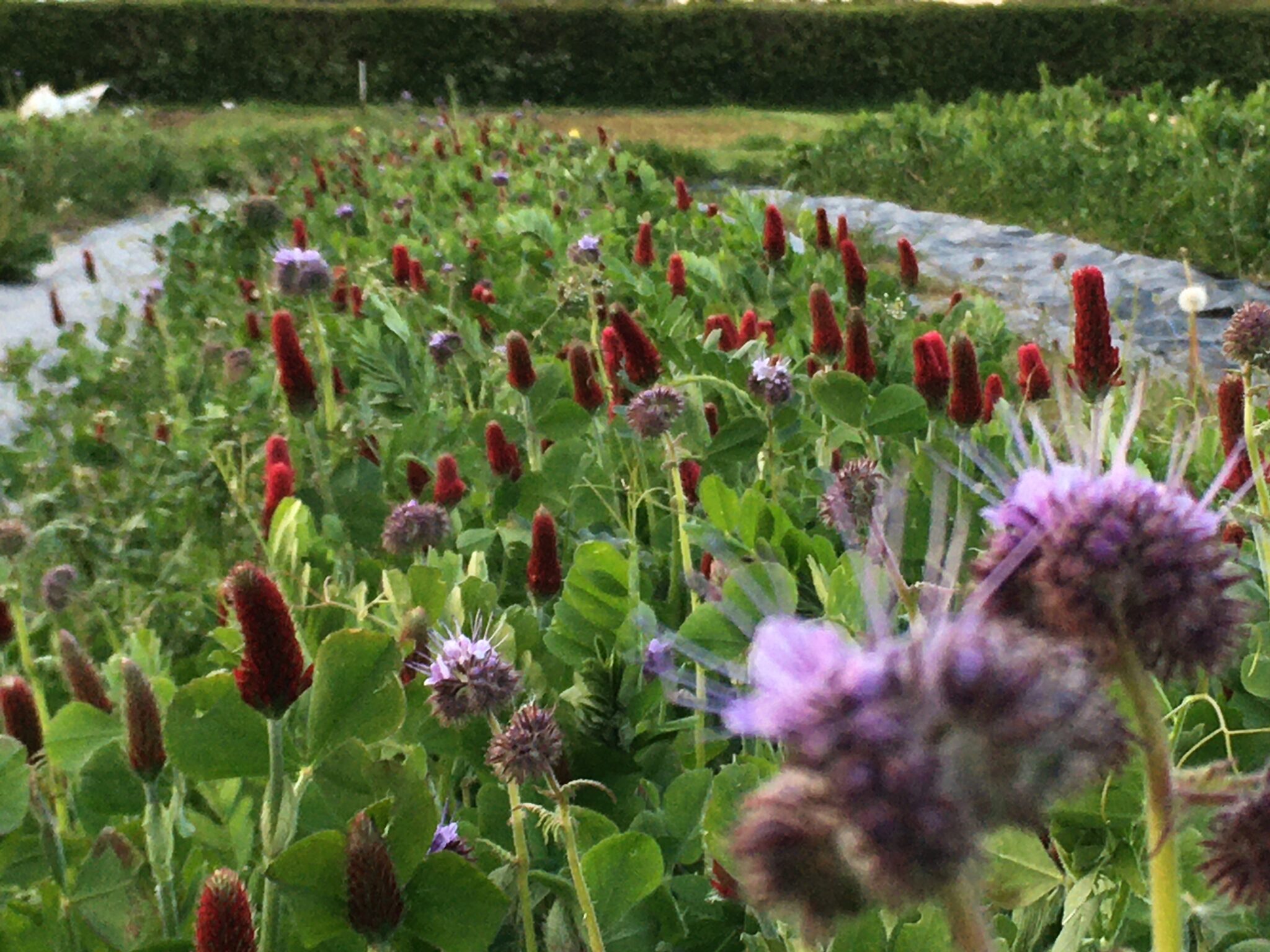 Farm to Fork Summit Pushing naturefriendly farming and healthy diets