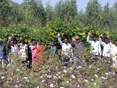 Cotton farmers