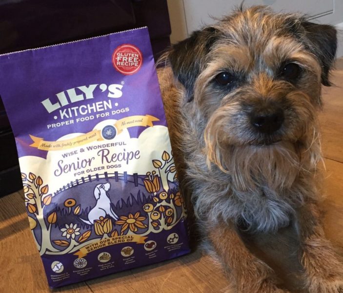 Lily’s Kitchen introduces foods for older dogs NP NEWS The online