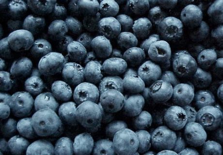 blueberries